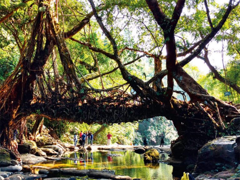 आइये एशिया के सबसे स्वच्छ गांव की सैर करते हैं, सुंदरता देख मन मचल उठेगा