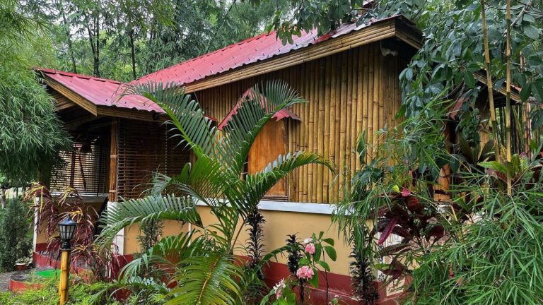 कहानी भारत के पहले ‘बांस गांव’ की… जो सीखाती है प्रकृति का संरक्षण